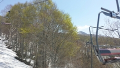 20150430170210133.jpg