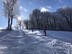 7C6597F2-A3C7-45A3-BD61-953BE51E79B1.jpg